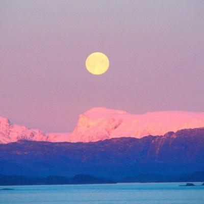 乐鱼游戏app在线登录下载手机版